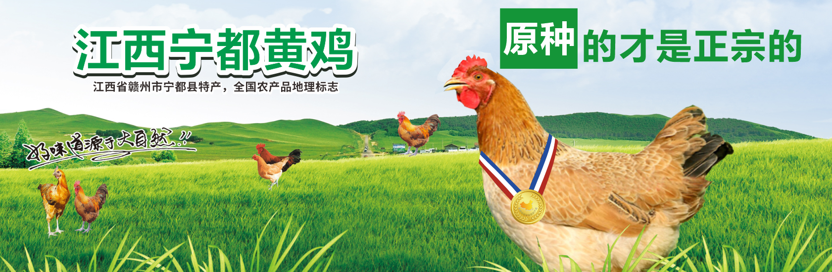 谈球吧买球